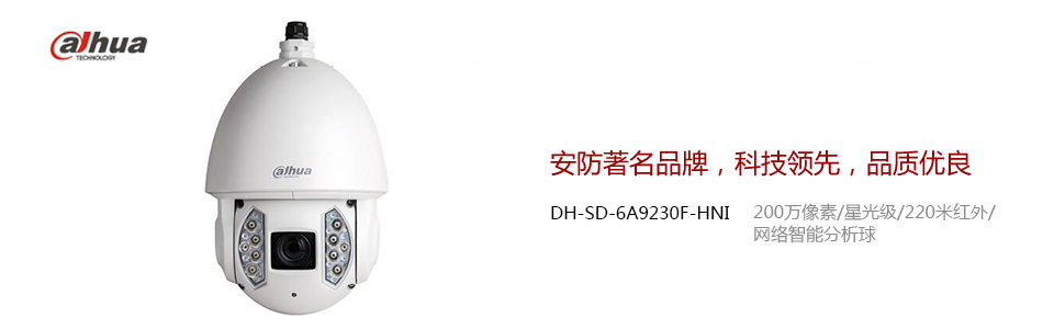 DH-SD6980-HN